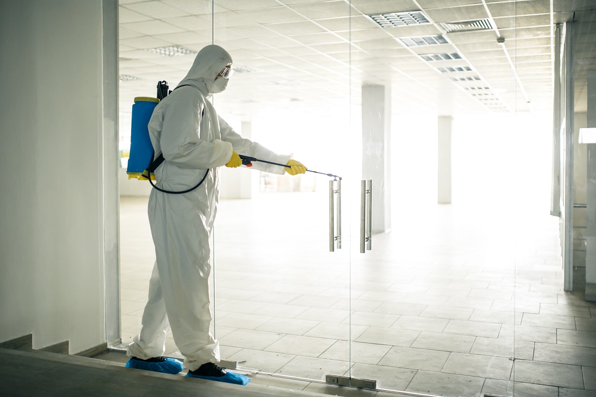 Verified Hawx Pest Control Reviews: Consistent Quality Every Time